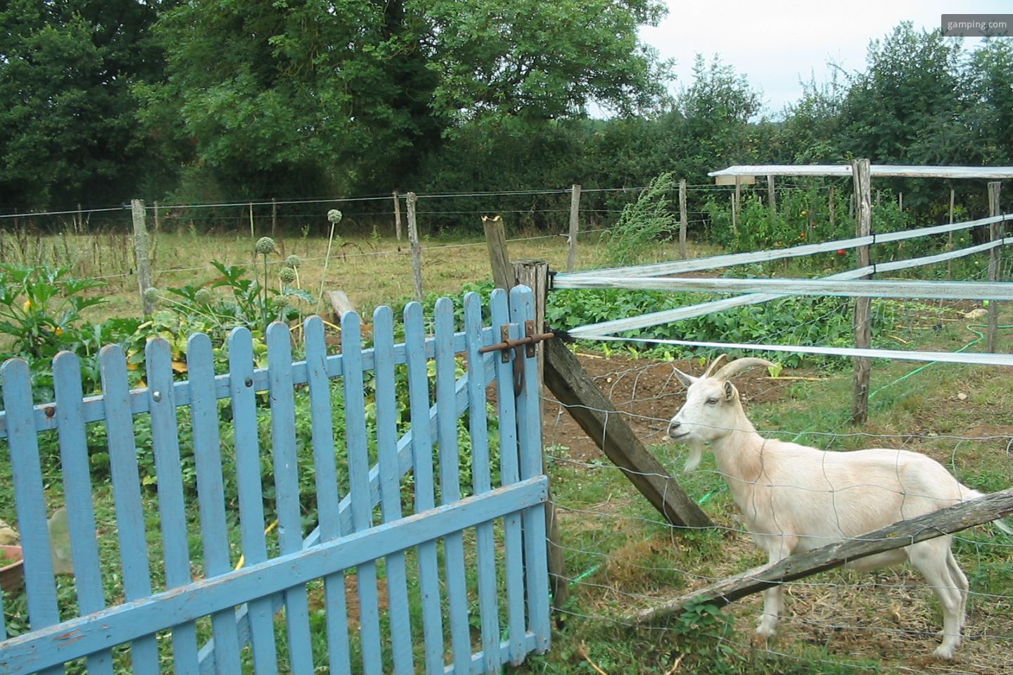 Campspace in Sarzay, Centre-Val de Loire