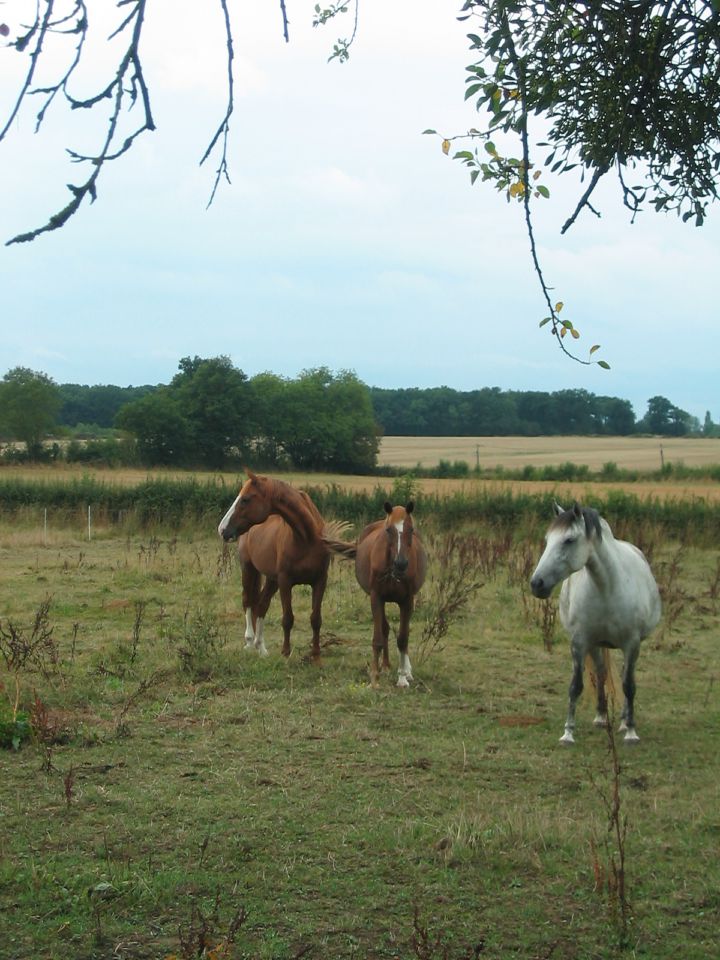 Campspace in Sarzay, Centre-Val de Loire