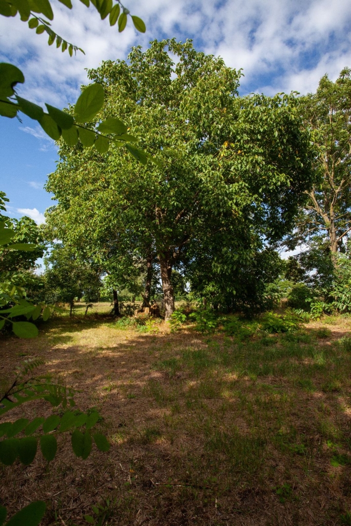 Campspace in Dreetz, Brandenburg