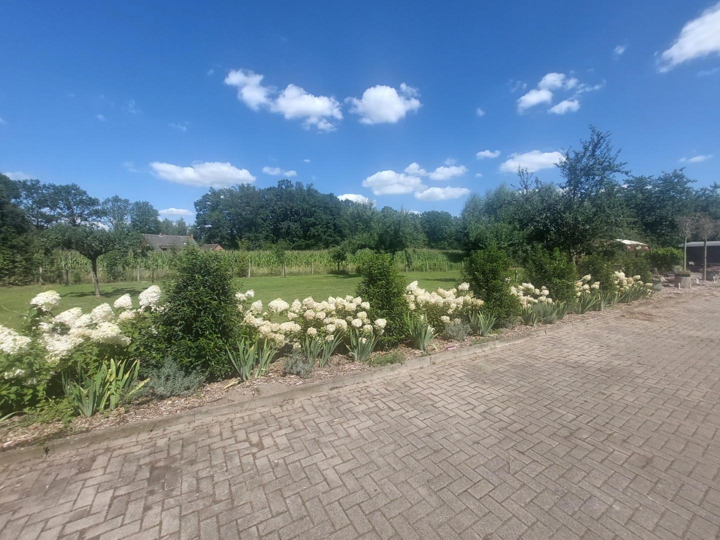Camping-Geheimtipp in Mnster