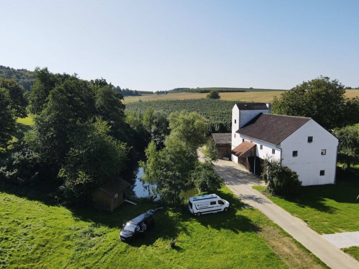 In the middle of the Hallertau
