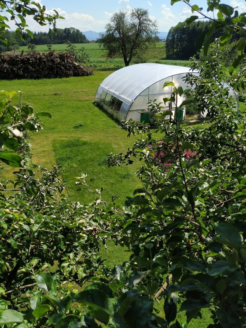 Campspace in Sattledt, Upper Austria