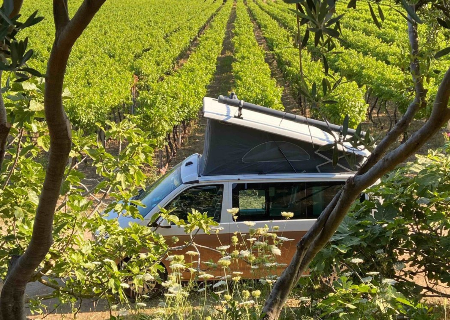 Campspace in VALLEDORIA, Sassari
