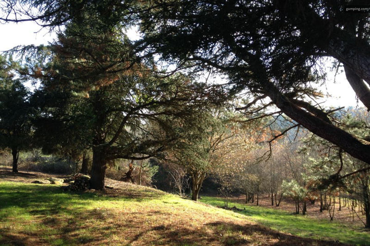 Campspace in Le Longeron, Pays de la Loire