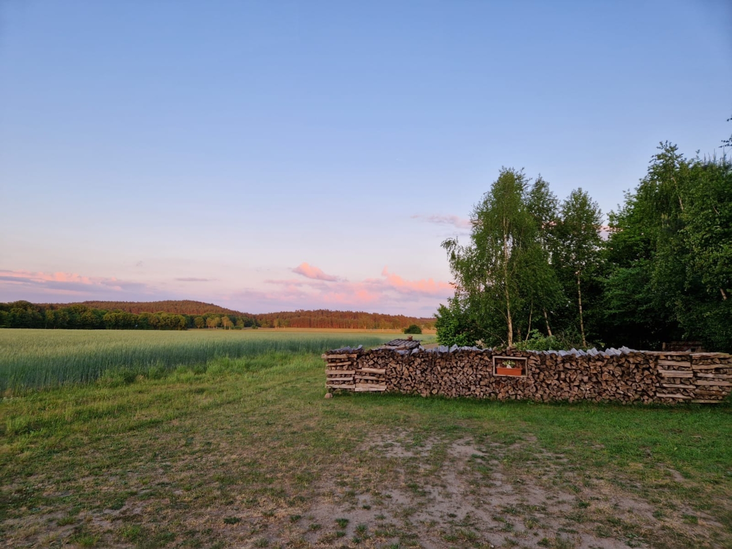 Campspace in Göhrde, Lower Saxony