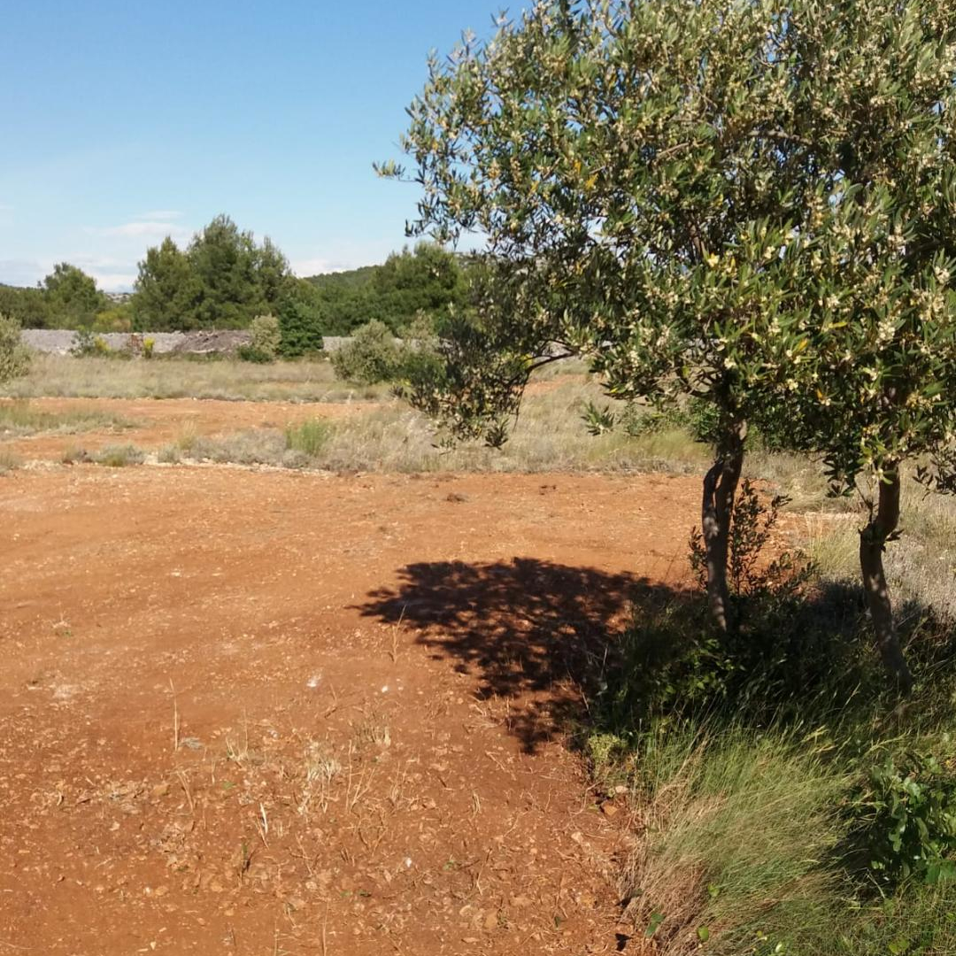 Immortelle - Robinson camp - secluded in nature but close to everything