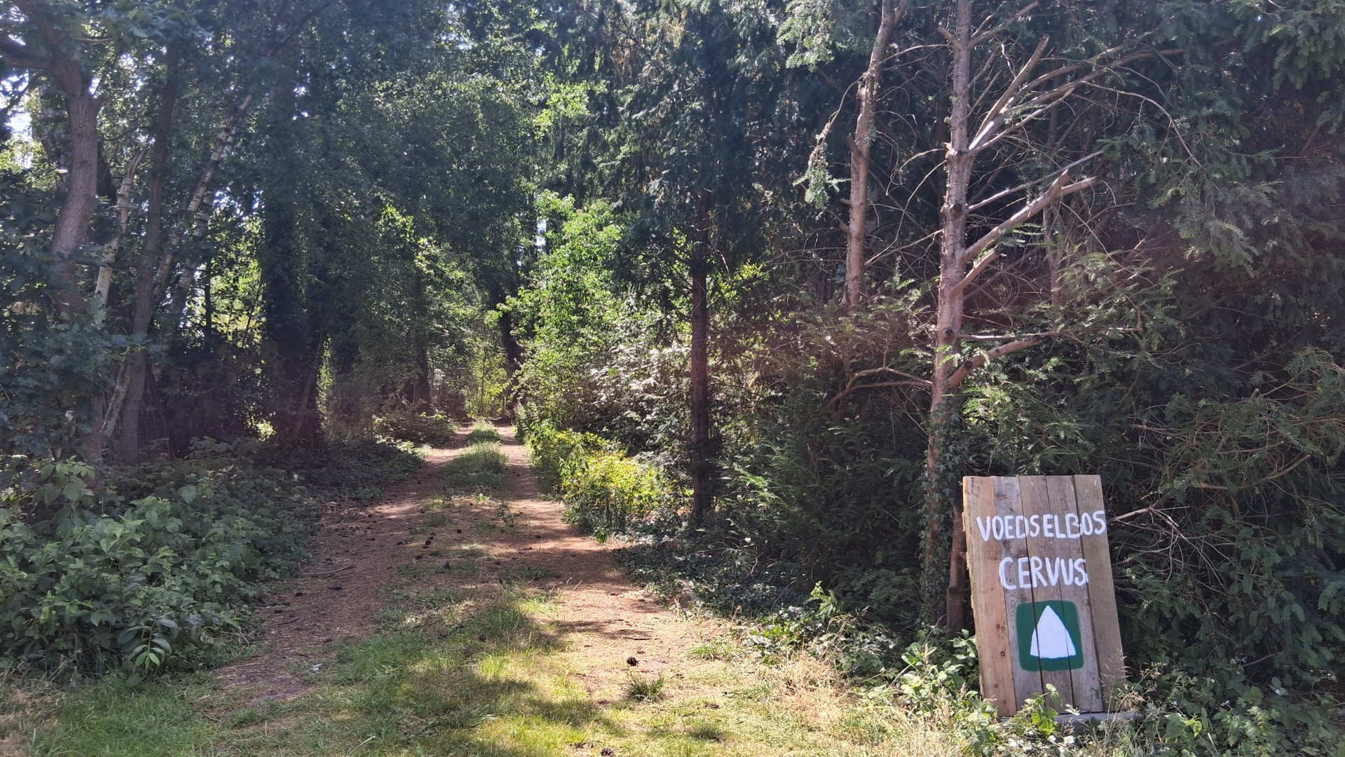 Food forest Cervus in Arendonk