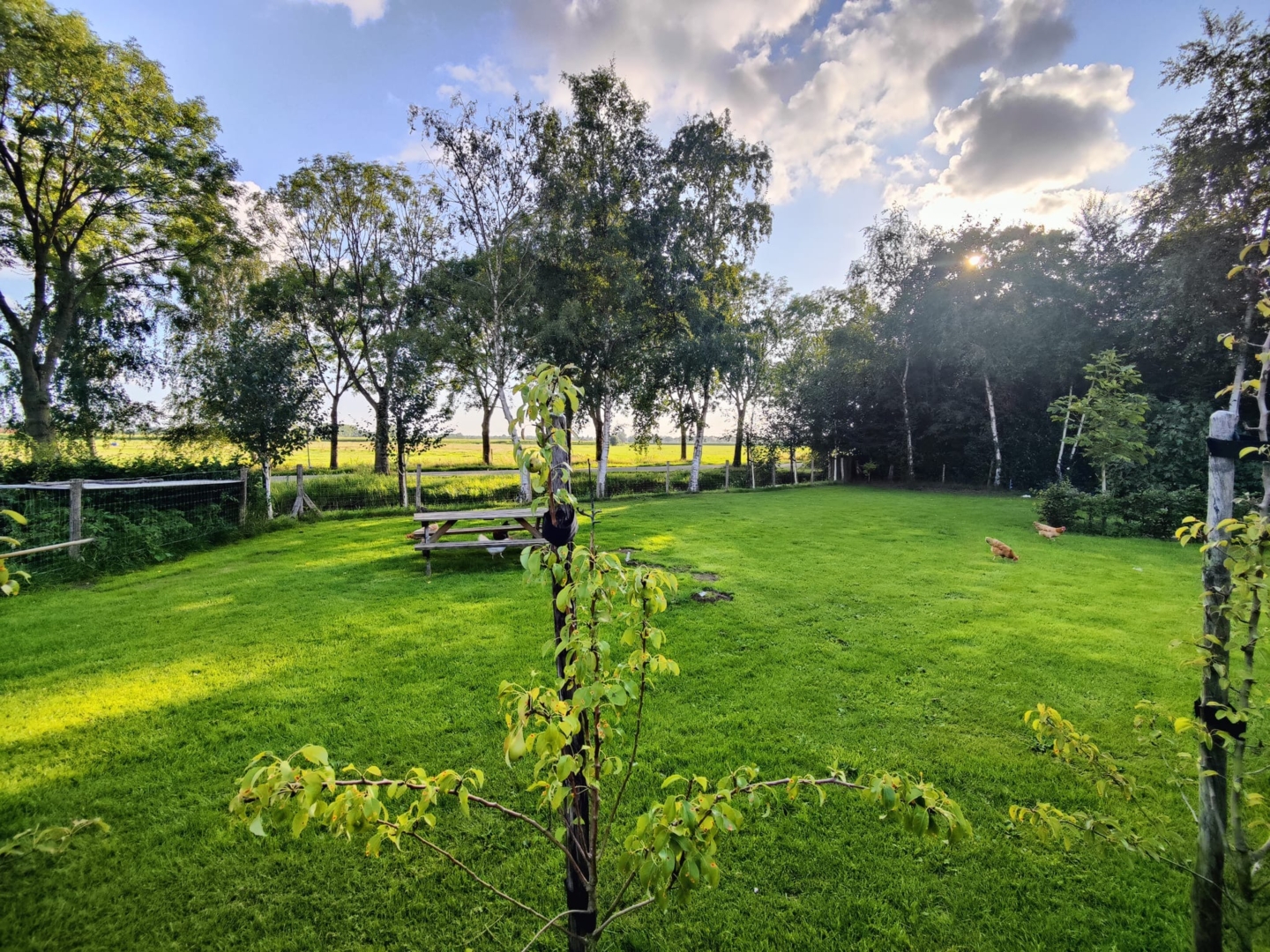 Rural, quiet overnight accommodation in Oss, between 's Hertogenbosch and Nijmegen