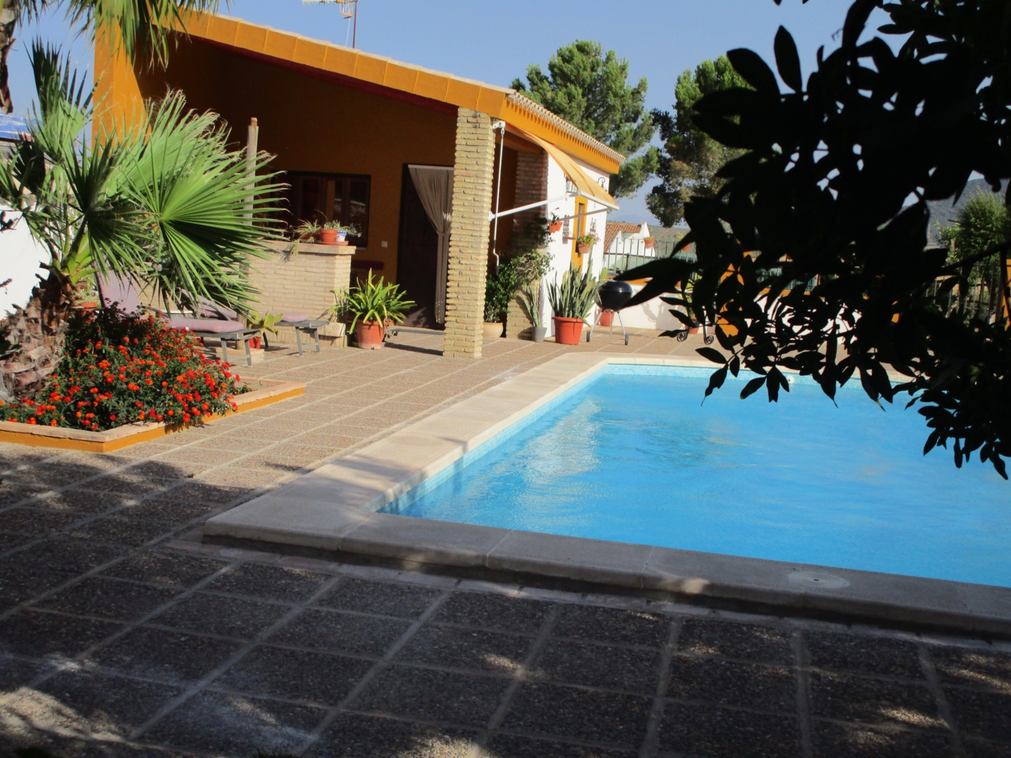 Campspace in Moron de la Frontera, Andalusia