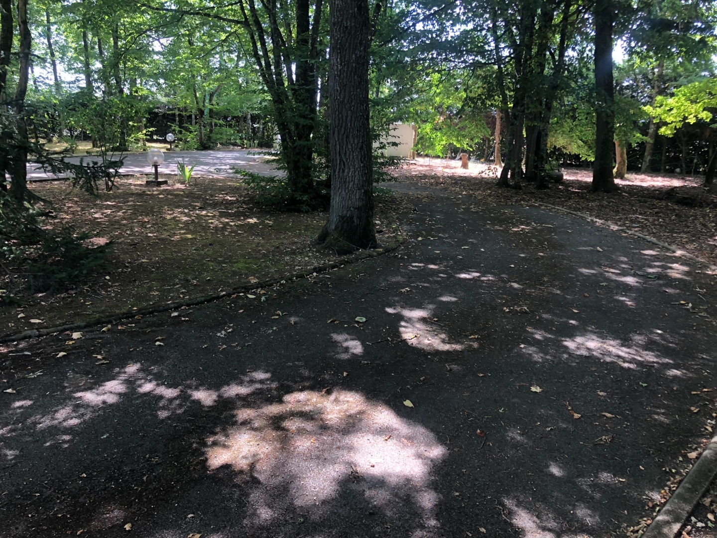 Under the trees with 4 chickens and 1 cat Plaimpied-givaudins, Centre-Val de Loire