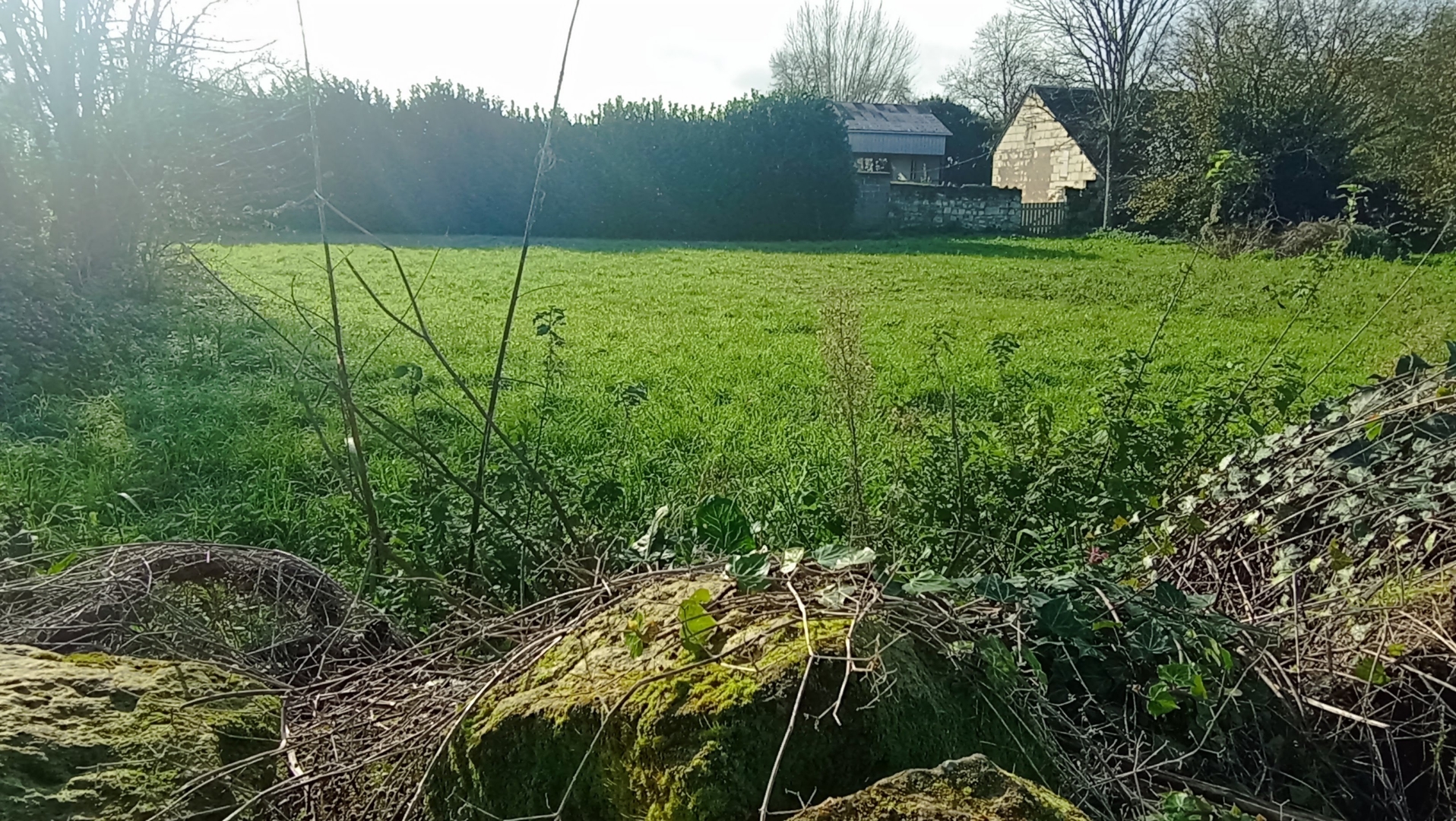 Campspace in VILLEBERNIER, Pays de la Loire