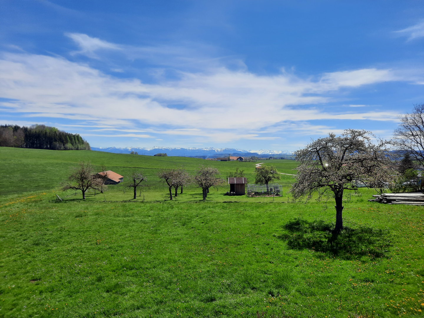 Farm camping in the Allgäu