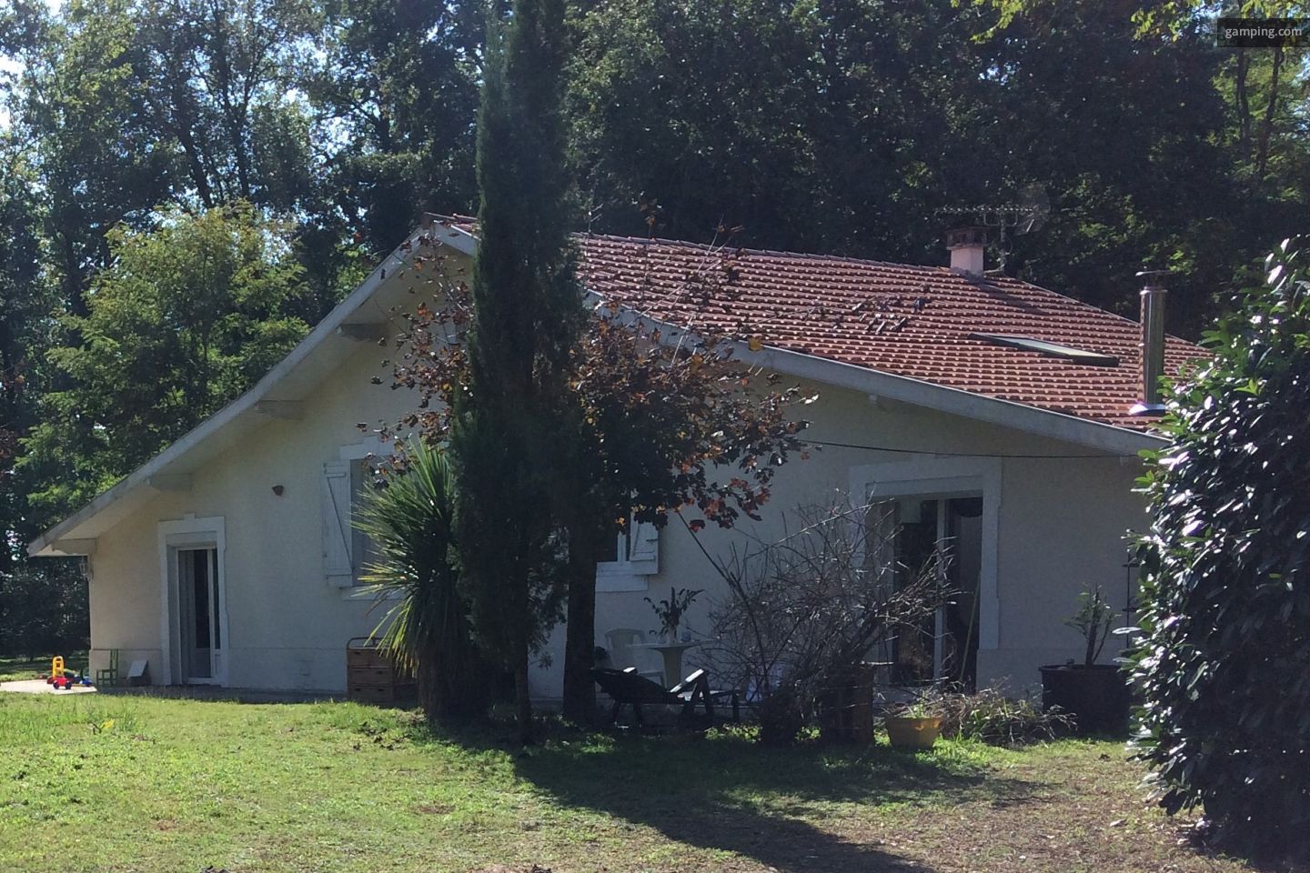 Pitches in the shade of oak trees with toilets available
