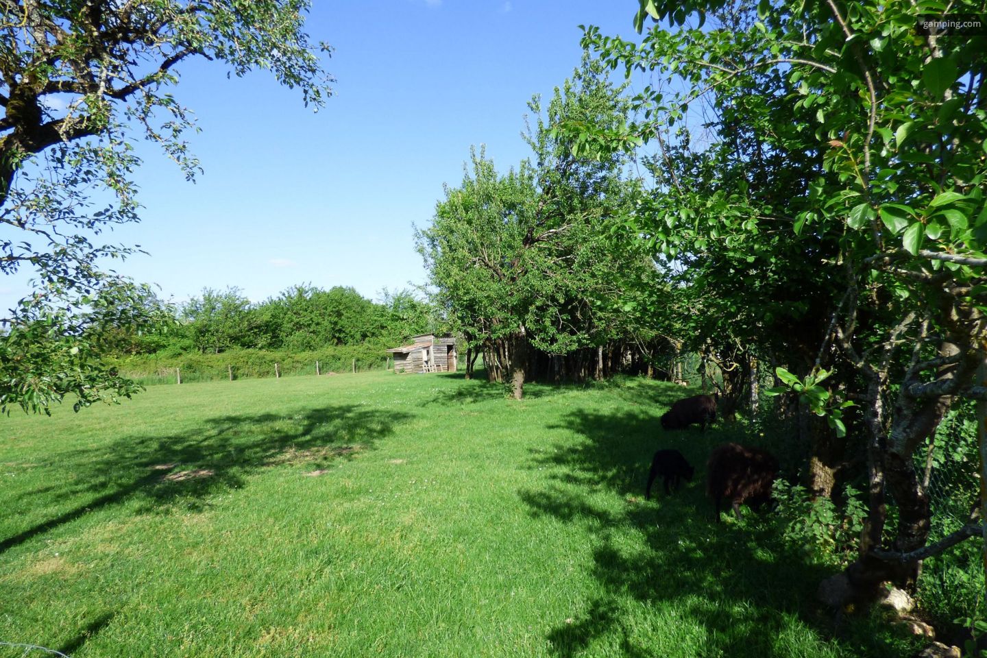 Campspace in Champagné-Saint-Hilaire, Nouvelle-Aquitaine