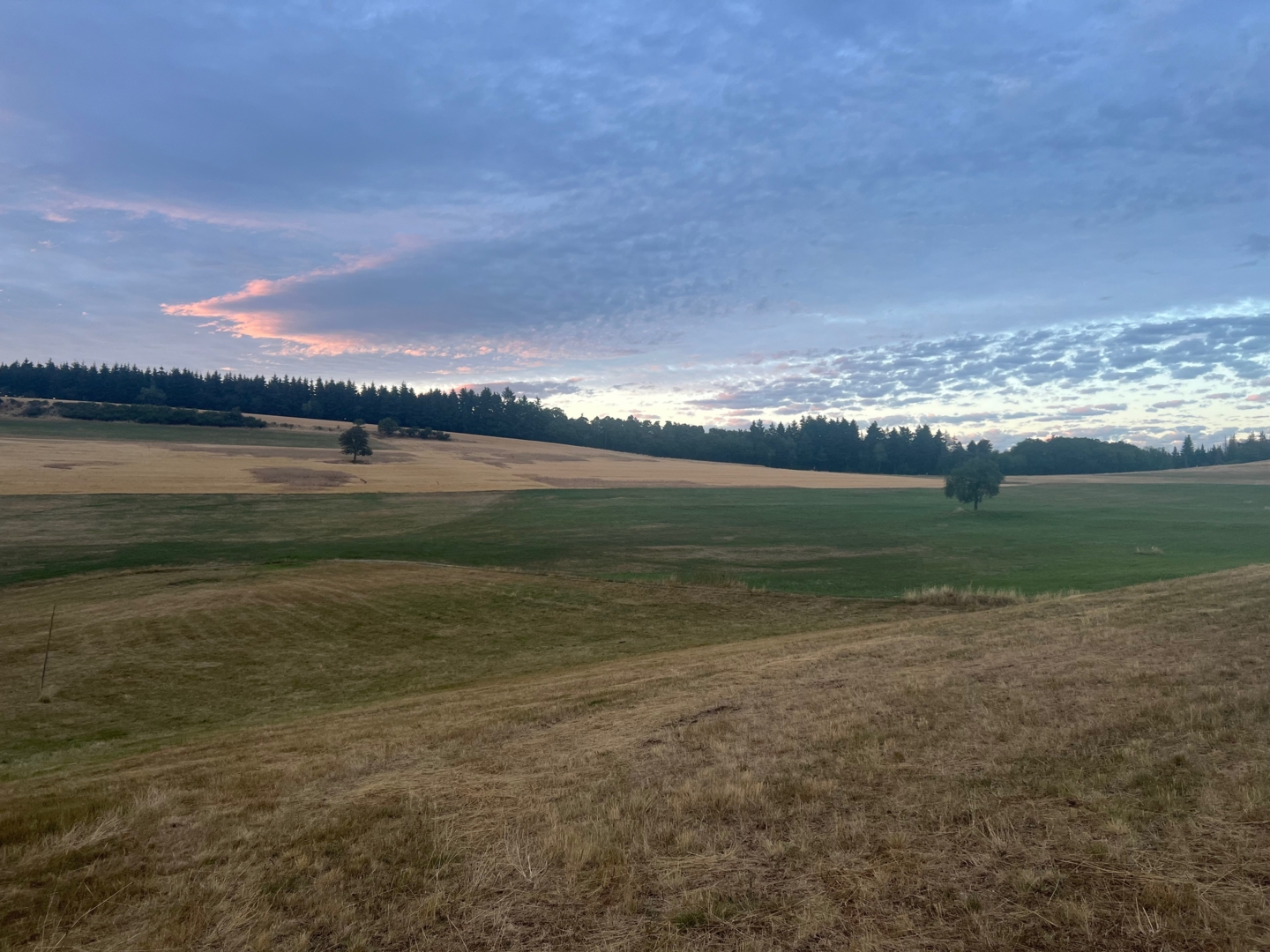 Campspace in Unterjeckenbach