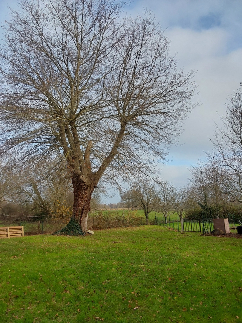 Campspace in Saint Corneille, Pays de la Loire