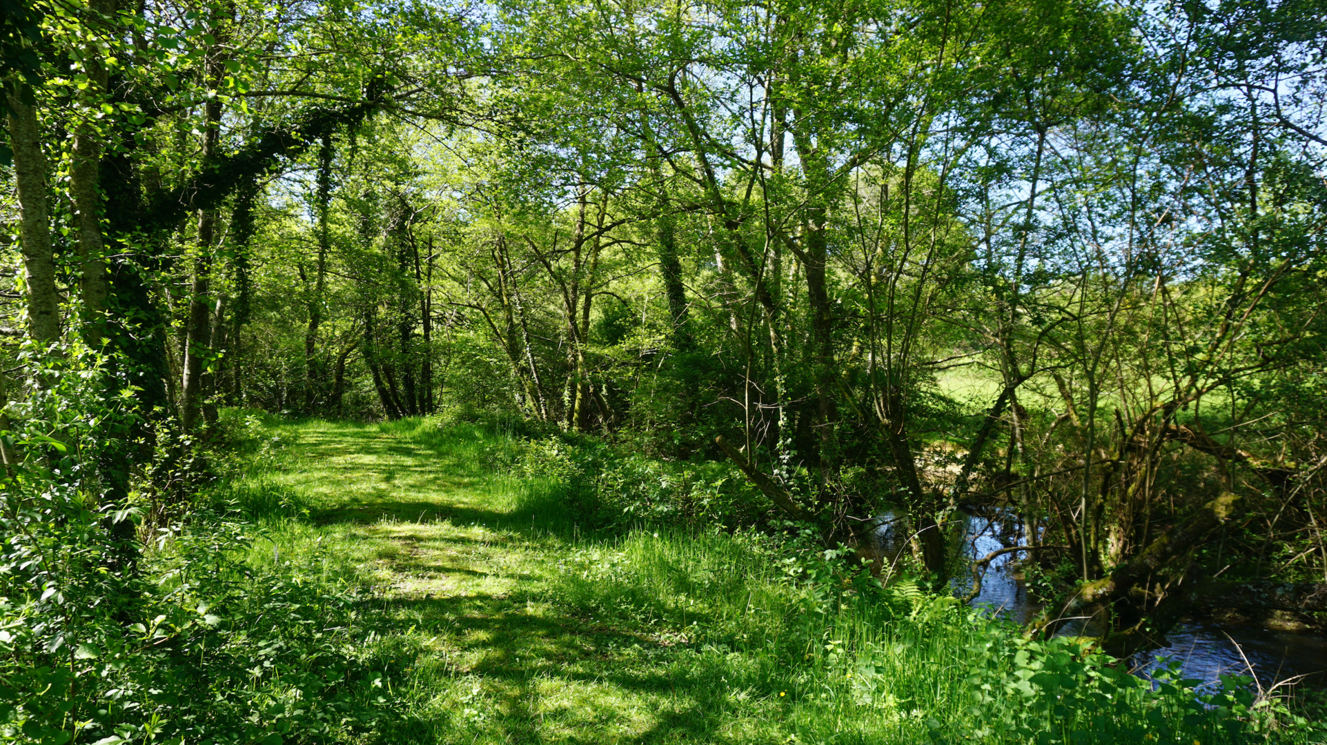 Camping le Touroulet