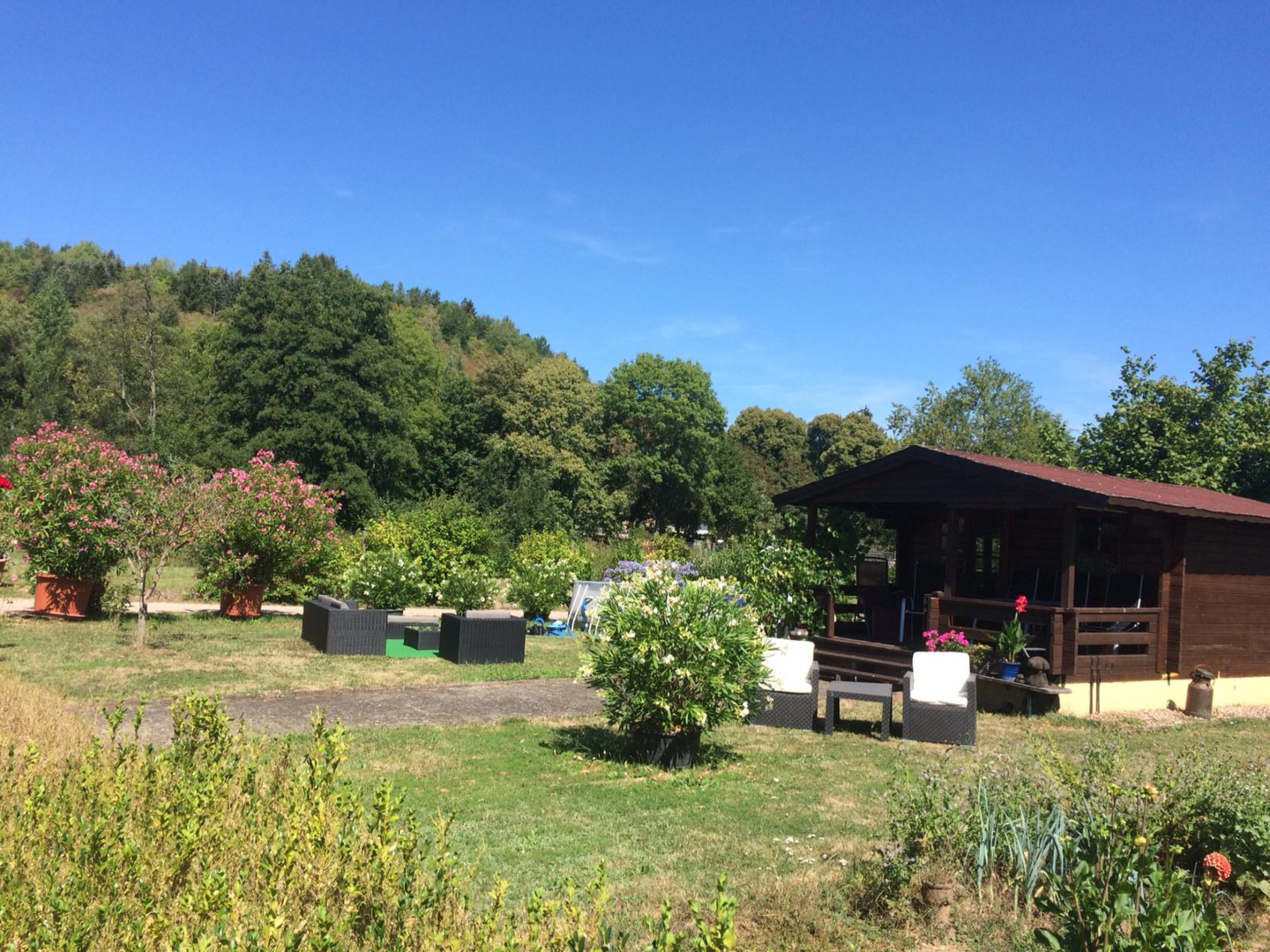 organic winery in the North Palatinate mountains