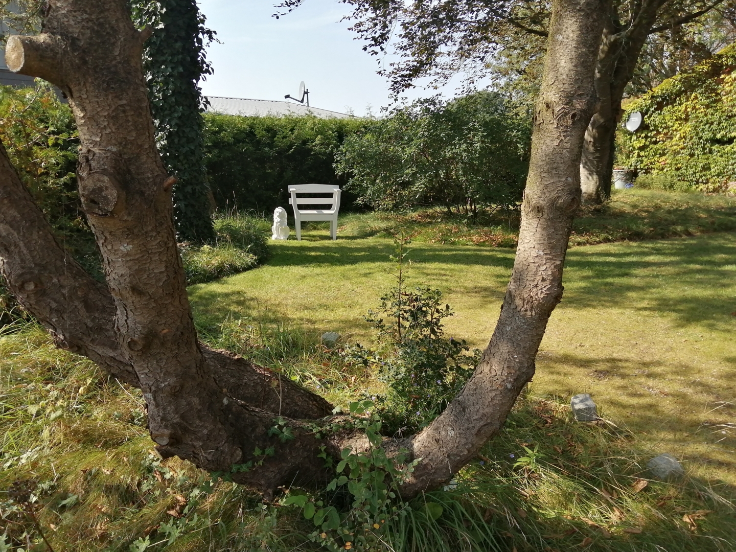 Campspace in Klein Rheide, Schleswig-Holstein