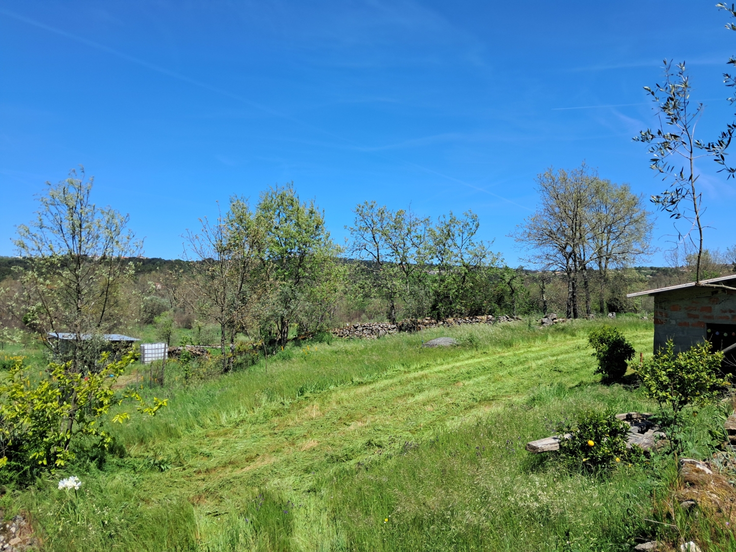 Eco-camping Quinta Michta, Mesquitela, Mangualde, Viseu