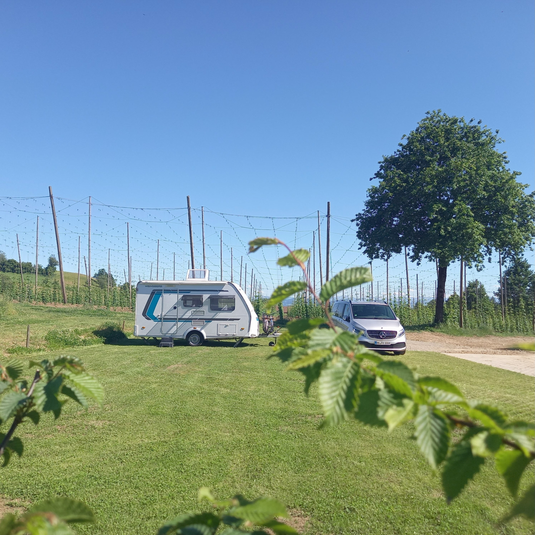 Pitch on a holiday farm with natural pool