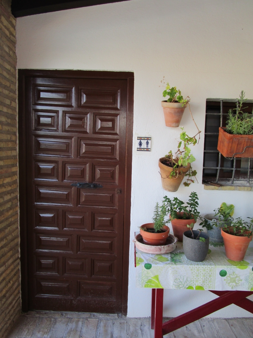 Campspace in Moron de la Frontera, Andalusia
