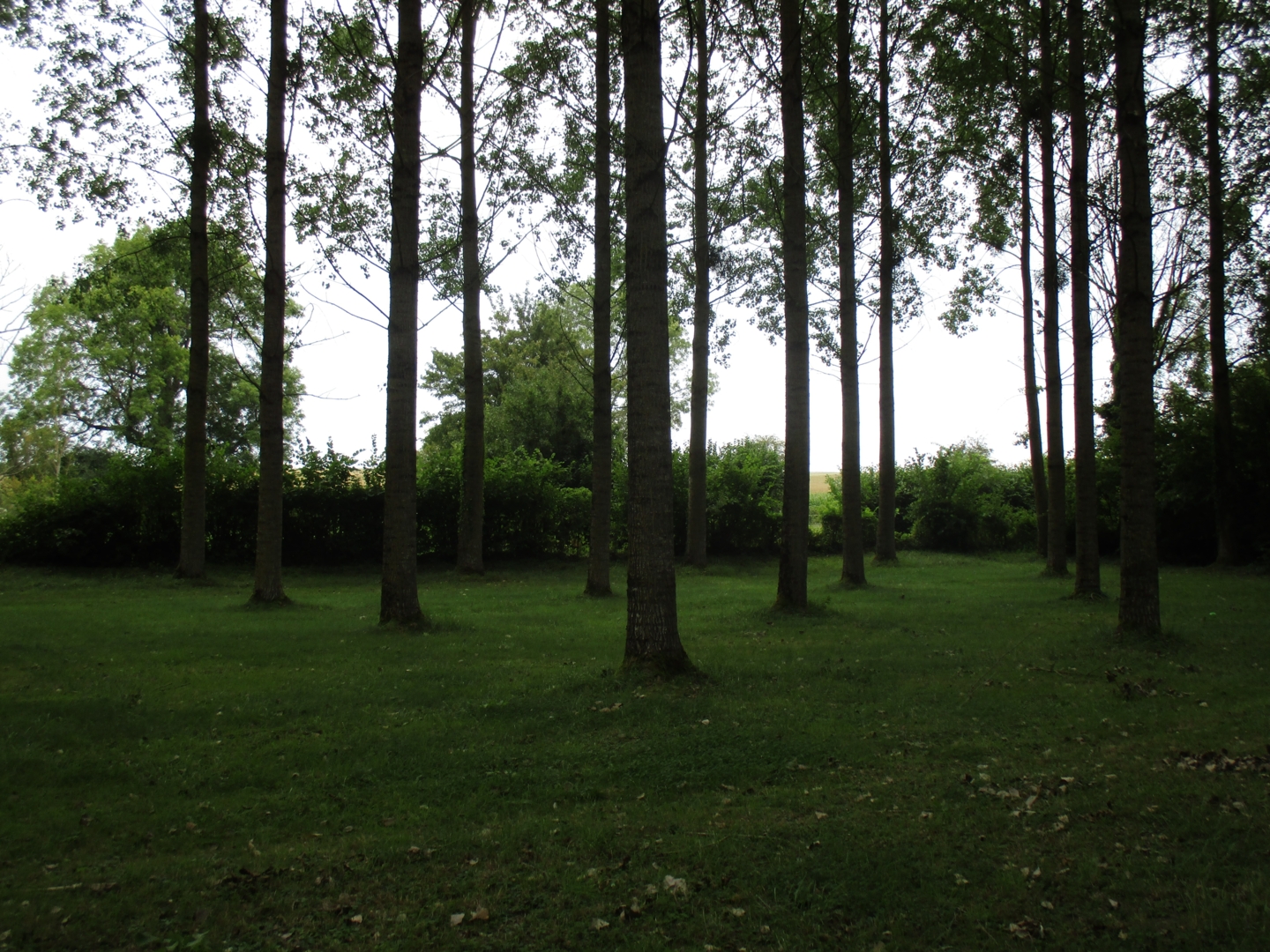 Campspace in Cilly, Hauts-de-France
