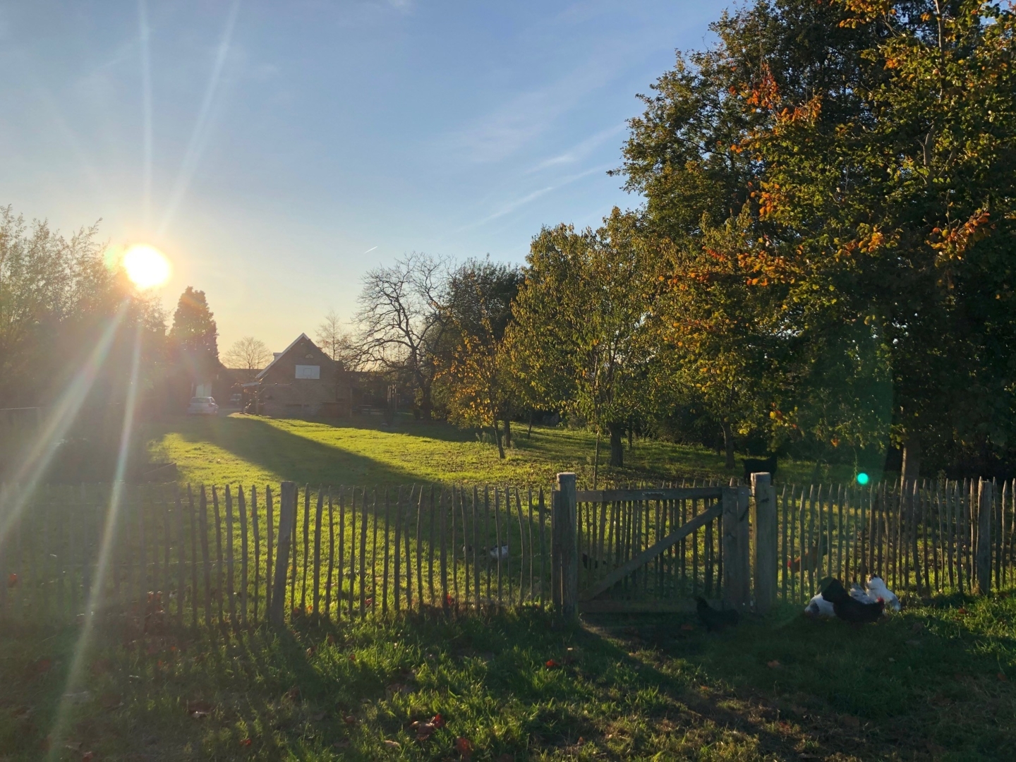 2000m2 garden with animal meadow near Den Bosch