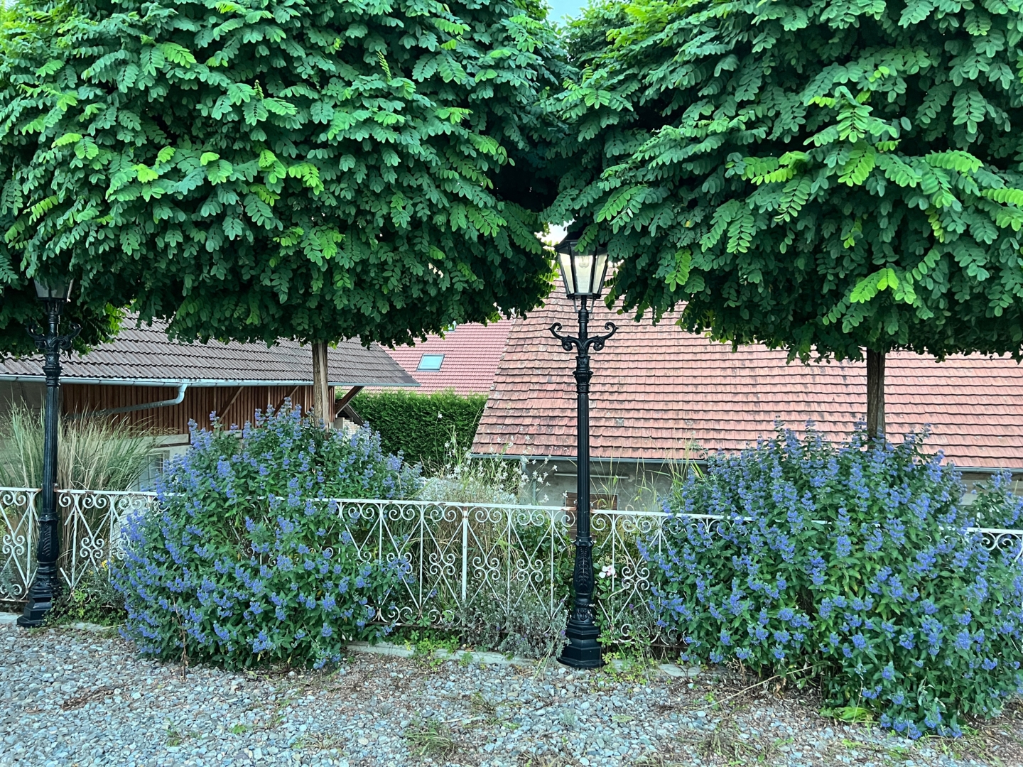 Natural farm between Ravensburg and Lake Constance