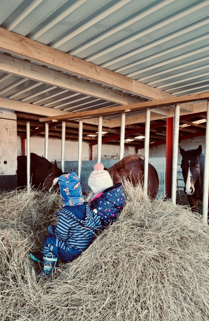 riding stable in Hofgeismar, Hesse