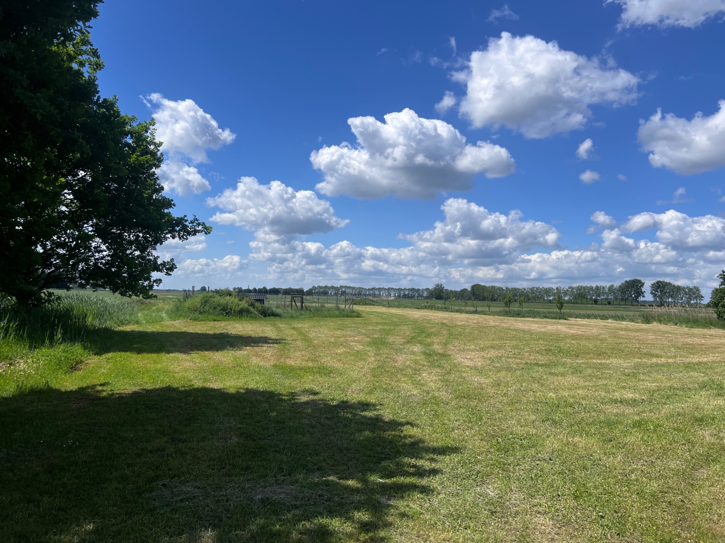 Campspace in Assch, Gelderland