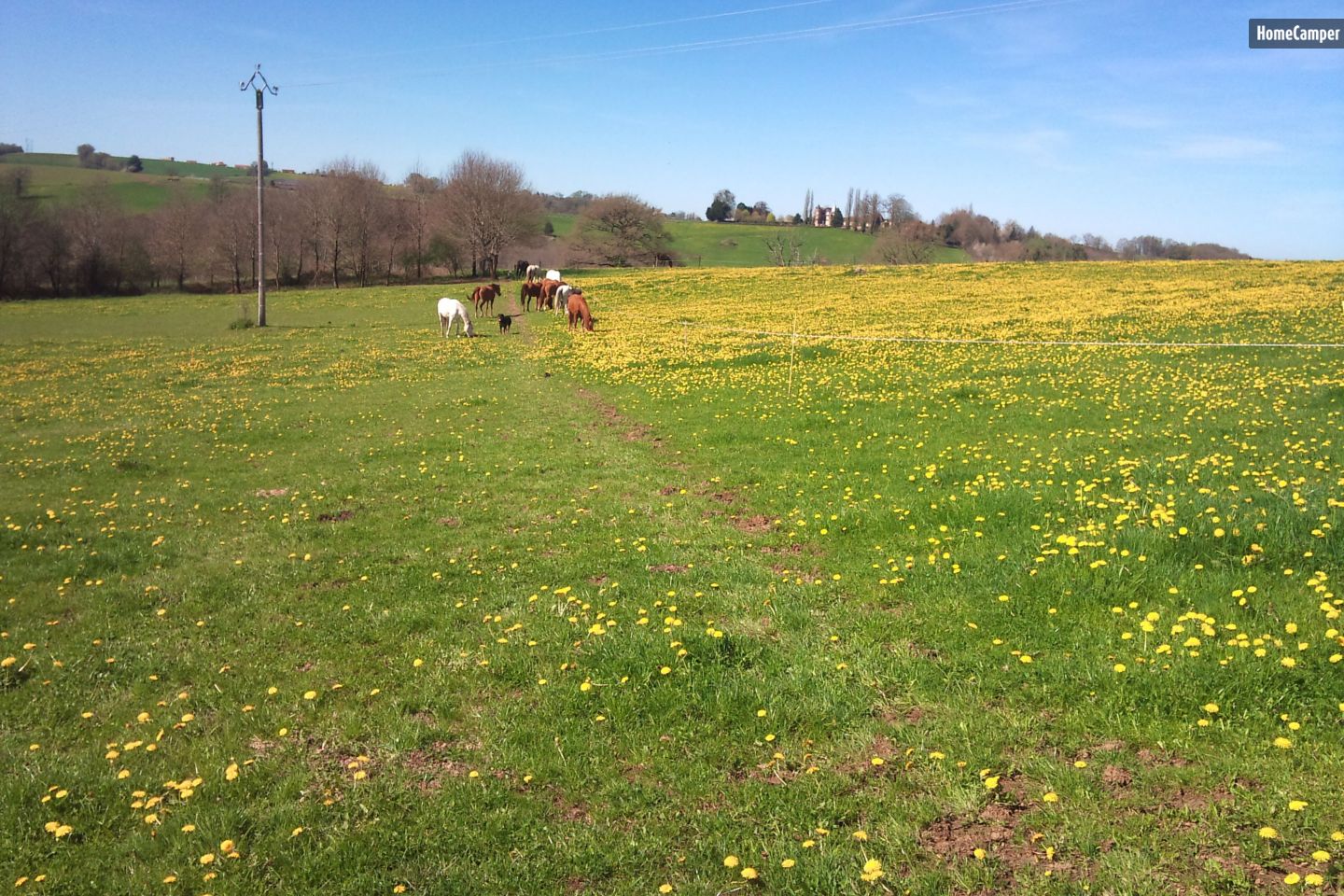 Campspace in Saint-Genest-sur-Roselle, Nouvelle-Aquitaine