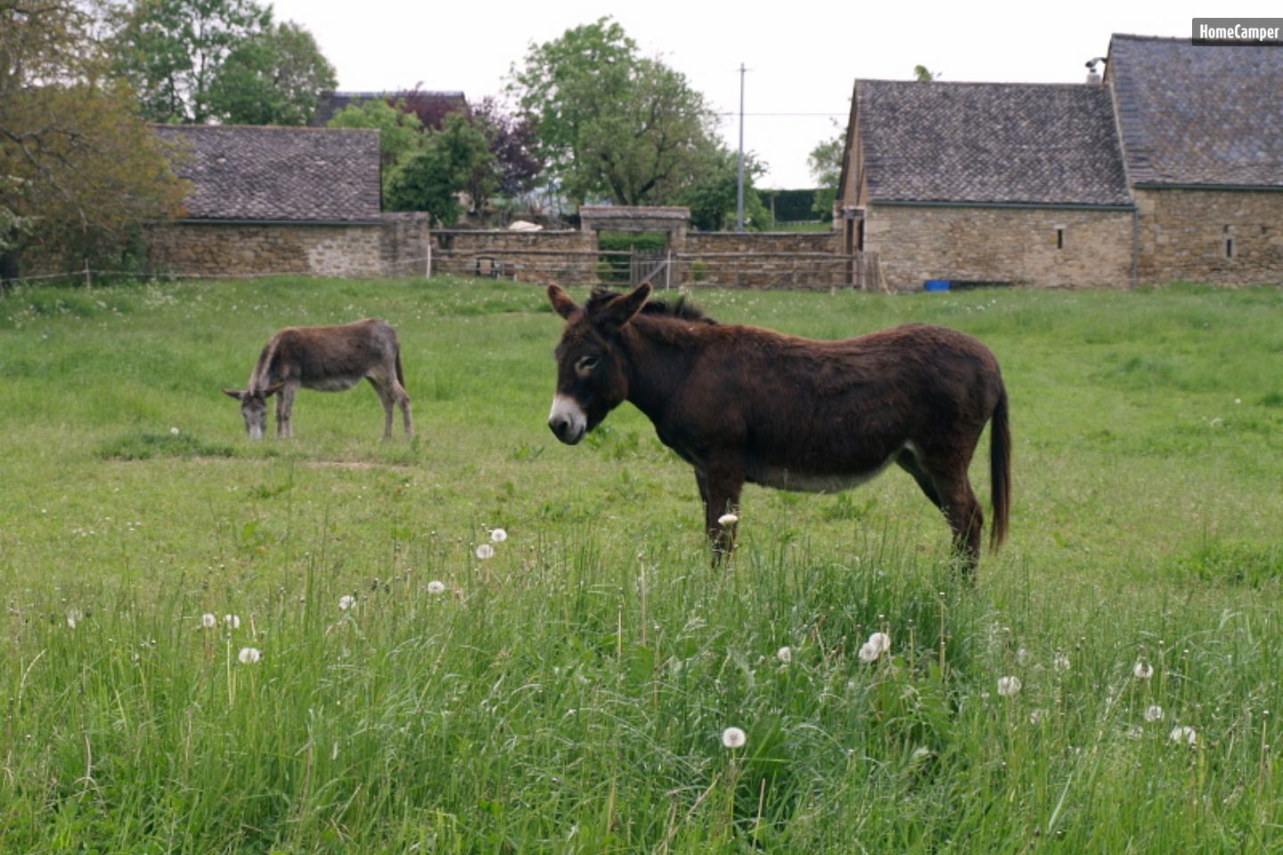 Campspace in Bournazel, Occitanie