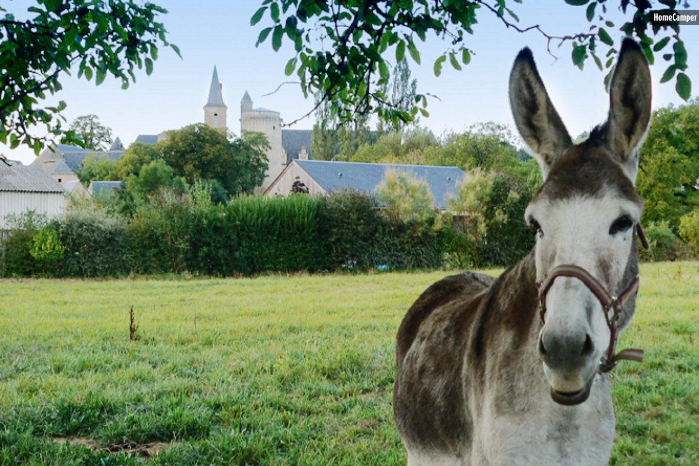 Campspace in Bournazel, Occitanie