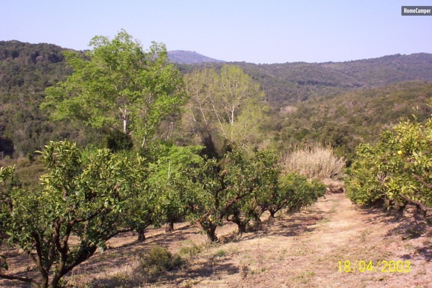 Campspace in ANTISANTI, Corsica