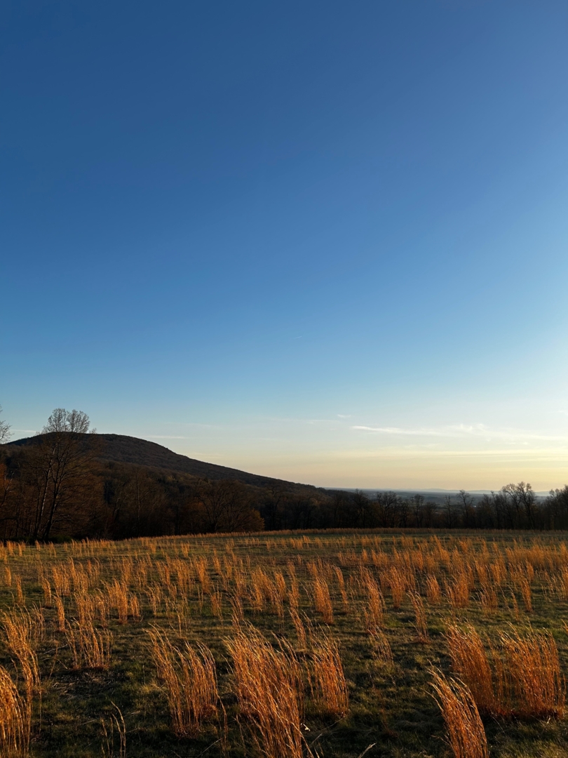 Campspace in Waynesboro, PA