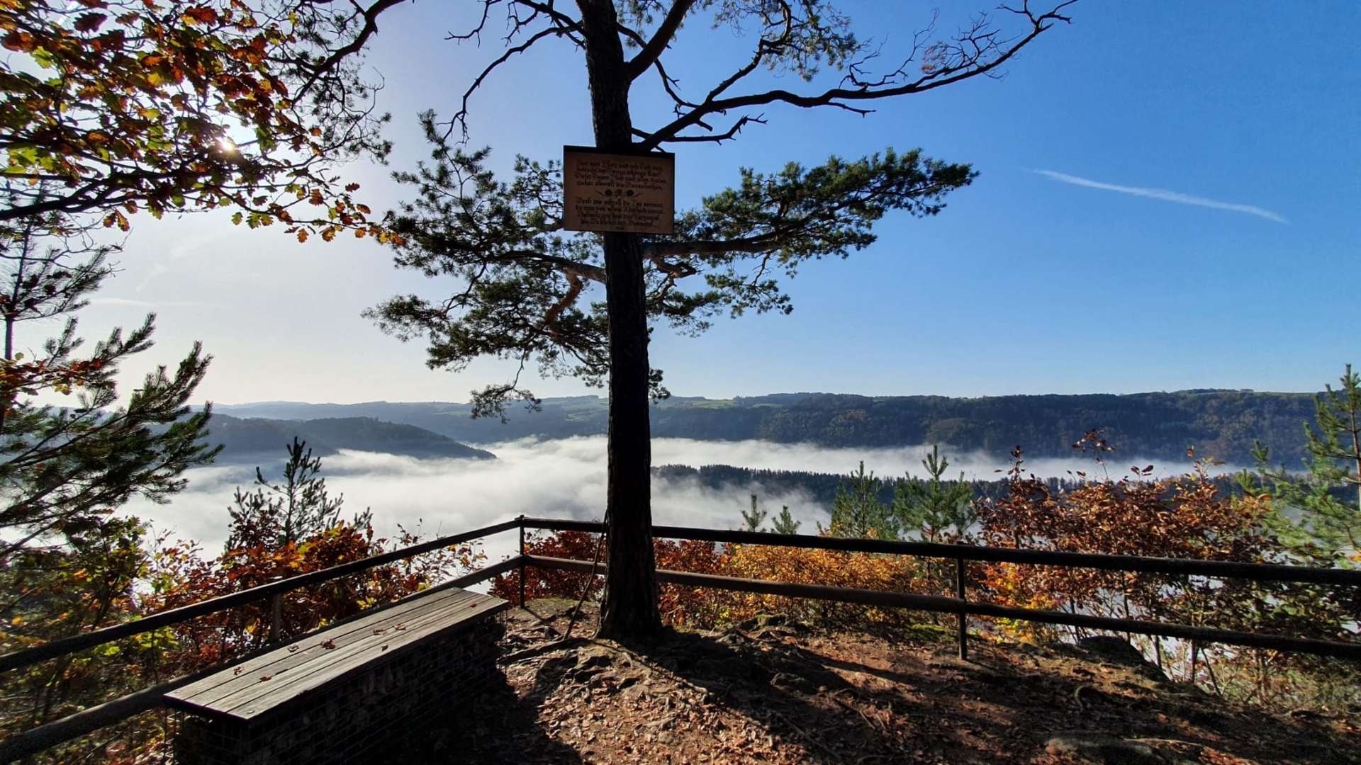 Campspace in 4083 Haibach ob der Donau, Upper Austria