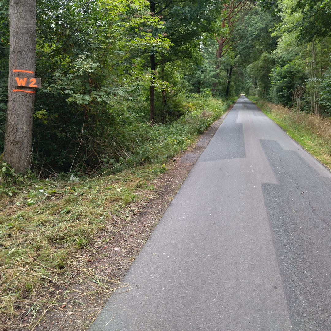 Waldesruh in Steyerberg, Lower Saxony