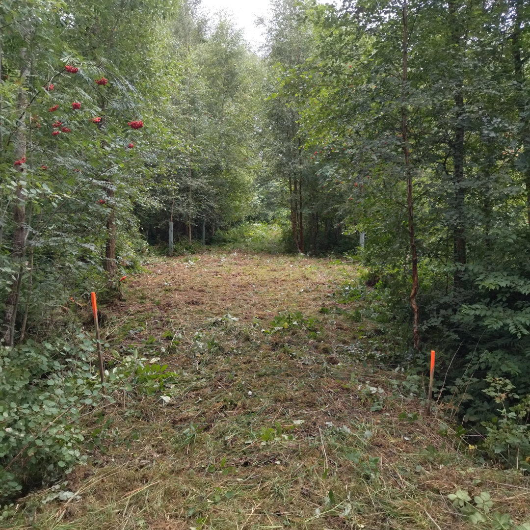 Waldesruh in Steyerberg, Lower Saxony