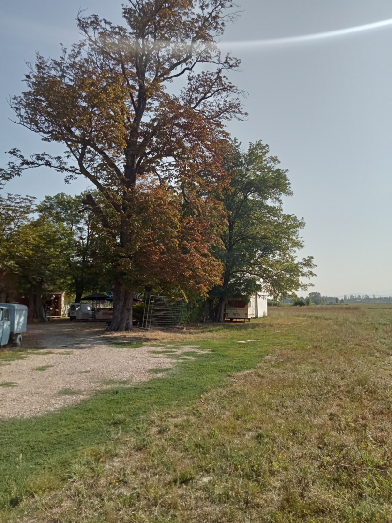 Camping in the Shade, Flat and Vast Land, Provence-Alpes-Côte d'Azur