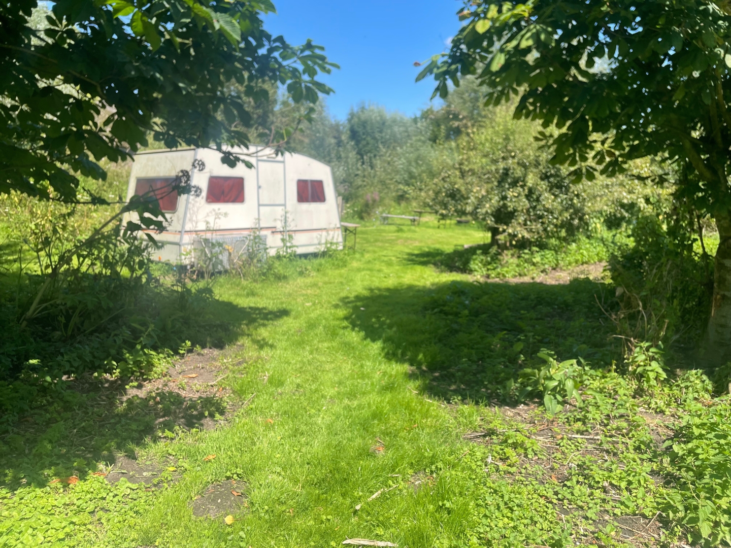 Campspace in Hoogmade