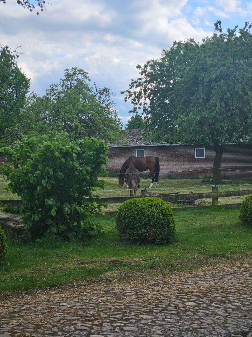 Campspace in Mellinghausen