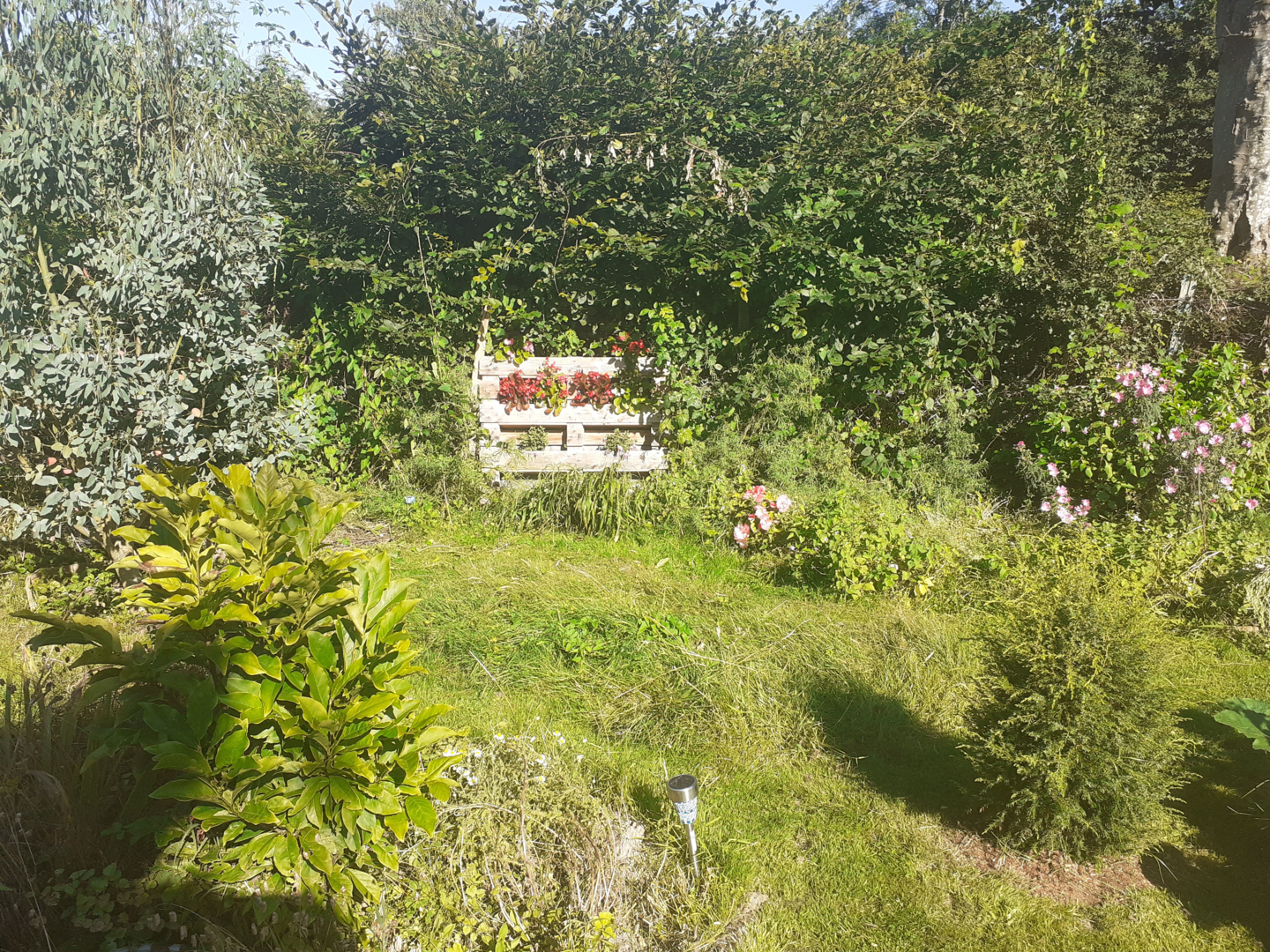 Campspace in Saint-Gatien-des-Bois, Normandy