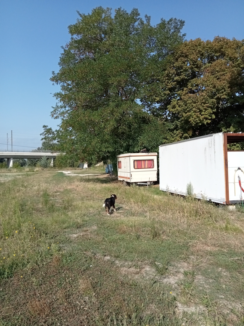 Camping in the Shade, Flat and Vast Land, Provence-Alpes-Côte d'Azur