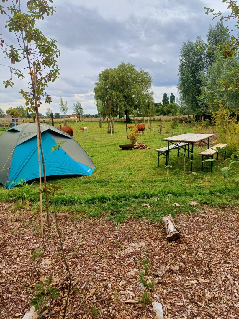 Campspace in Meulebeke, West Flanders