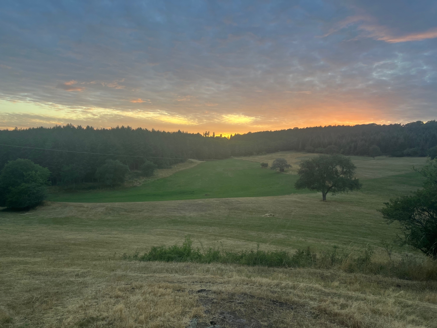 Campspace in Unterjeckenbach