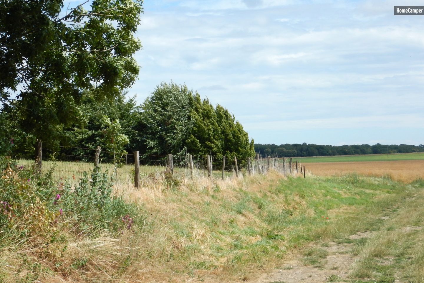 Campspace in Arcy-Sainte-Restitue, Hauts-de-France