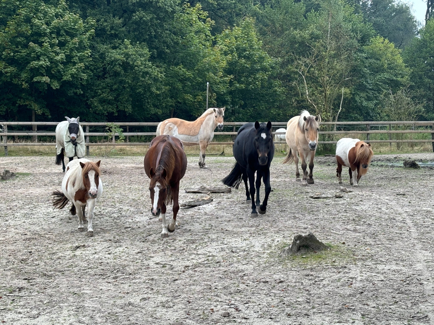 Campspace in Edewecht, Lower Saxony