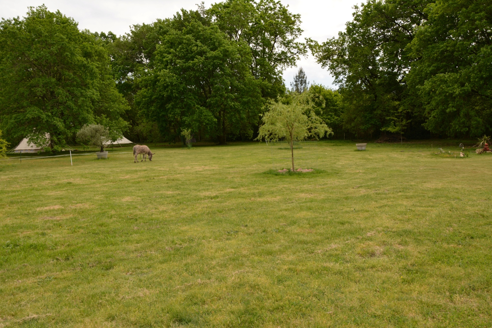 Campspace in Callen, Nouvelle-Aquitaine