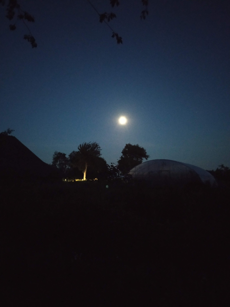 Campspace in Sattledt, Upper Austria